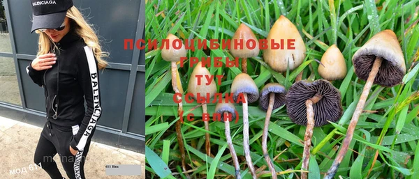 mdma Новозыбков
