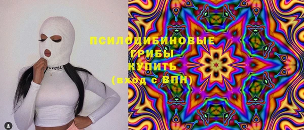 ешки Новокубанск