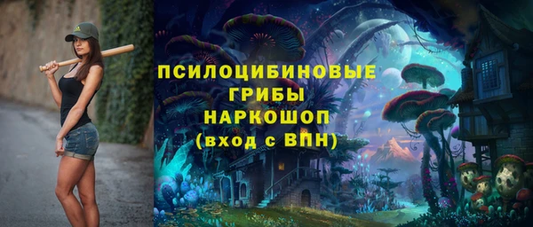 ECSTASY Новодвинск
