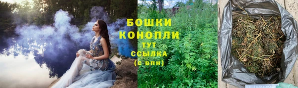 прущие крисы Няндома