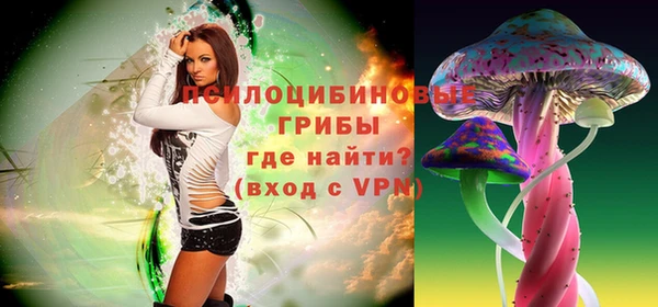 ECSTASY Новодвинск