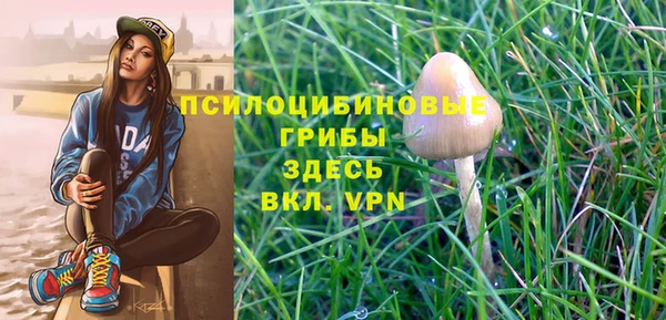 ешки Новокубанск
